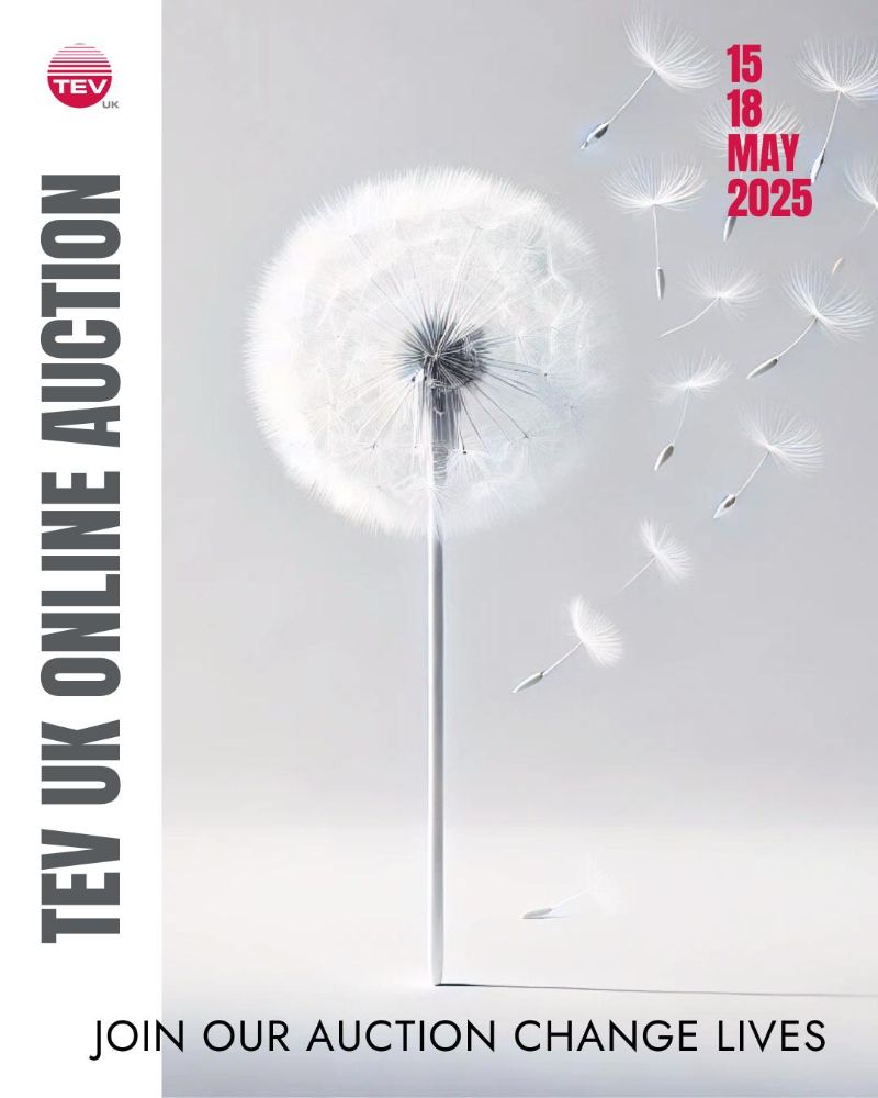 TEV UK Annual Auction 2025